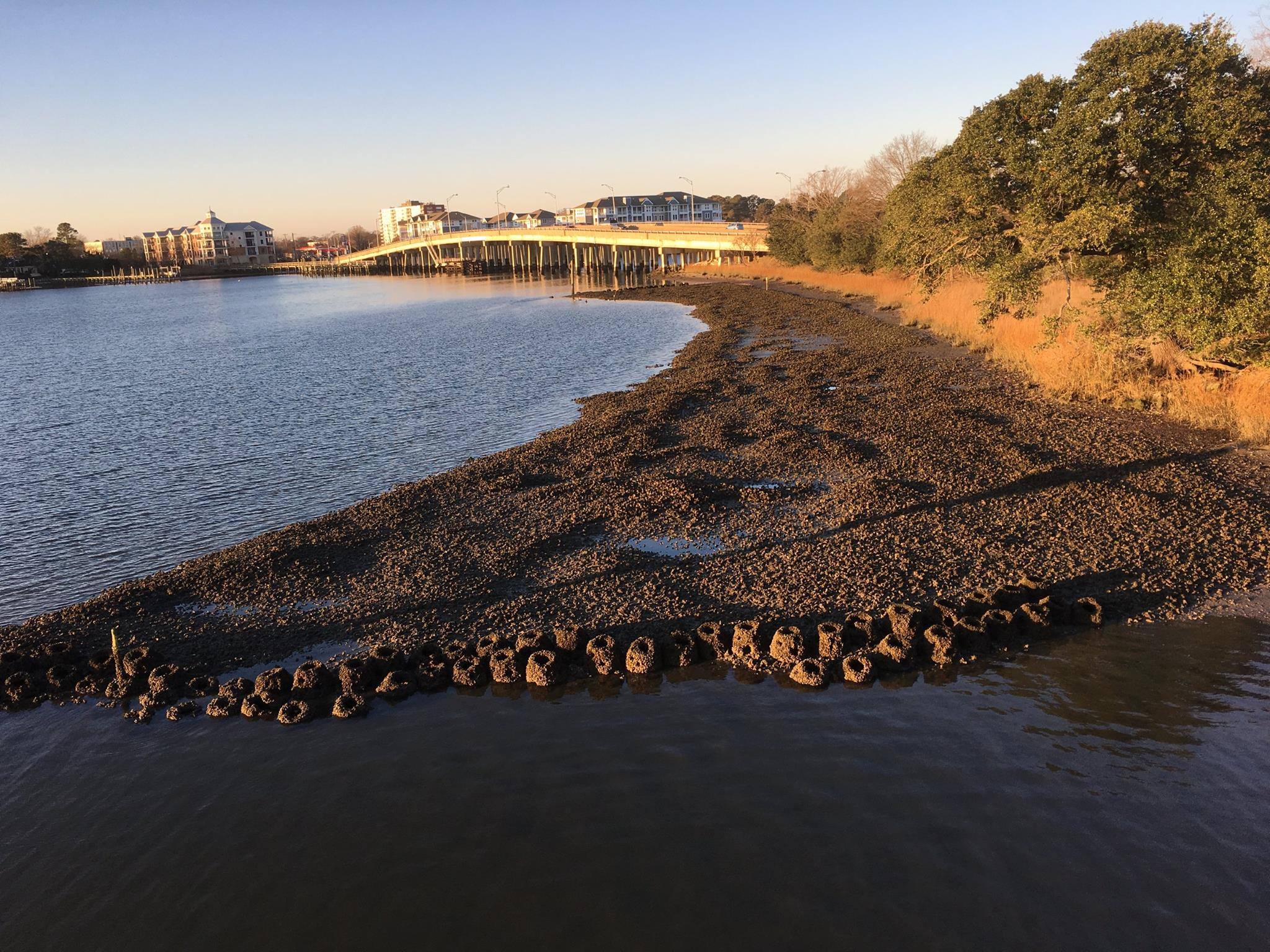 oyster reef
