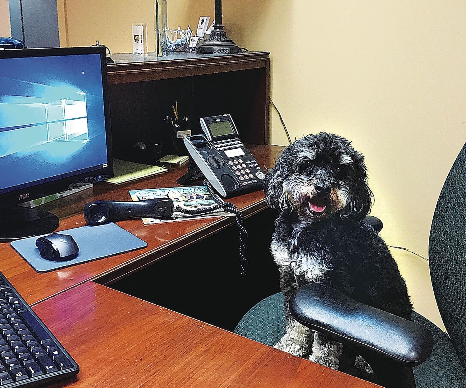RynohLive, Best Places to Work, Virginia Beach