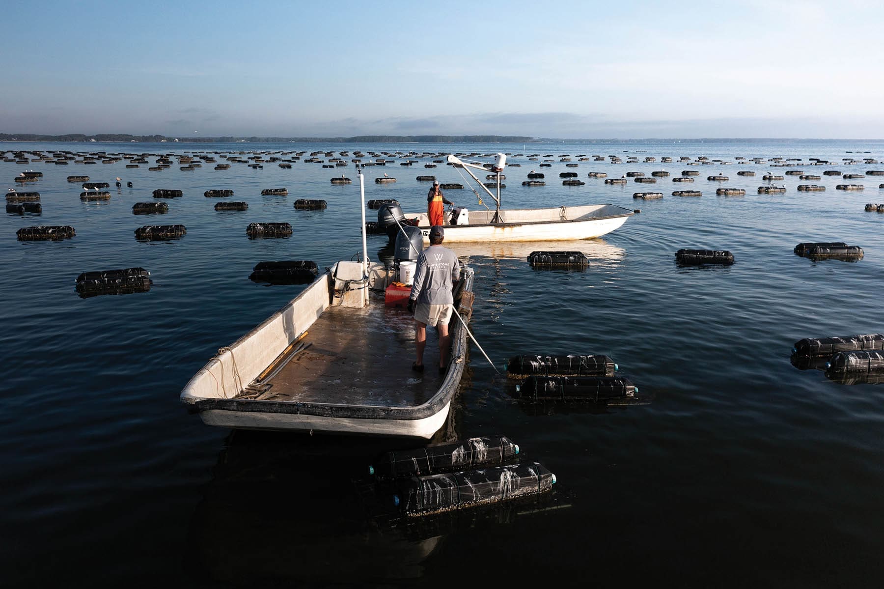 White Stone Oysters PHOTO Courtesy of nick McCraRy